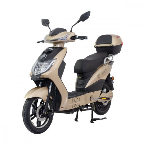 Electric scooter RACCEWAY® E-FICHTL®, light gold-matte, without battery