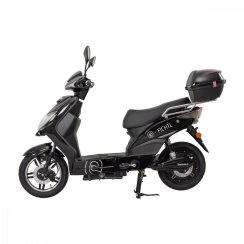 Electric scooter RACCEWAY® E-FICHTL®, glossy black with 20Ah battery
