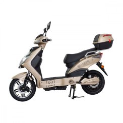 Electric scooter RACCEWAY® E-FICHTL®, light gold-matte with 20Ah battery