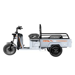 Teretni tricikl RACCEWAY® START, srebrni