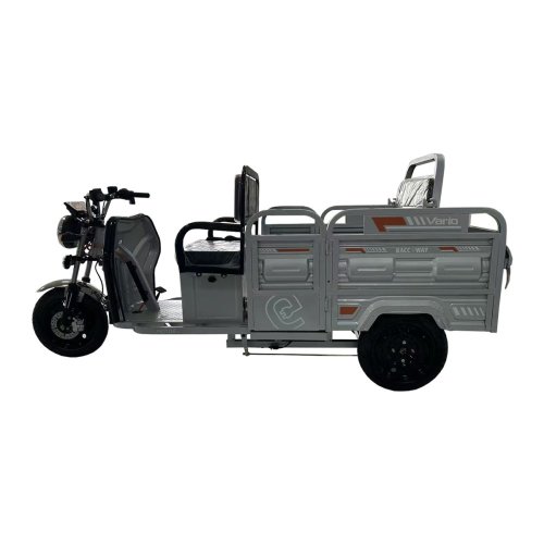 Teretni tricikl RACCEWAY® VARIO, srebrni