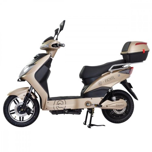 Electro scooter RACCEWAY® E-FICHTL®, light gold-matt with 20Ah battery
