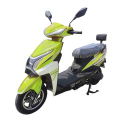 Scooter eléctrico RACCEWAY® CITY 45, con carnet, verde