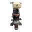 Scooter eléctrico RACCEWAY® LATTE, marrón claro