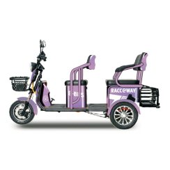 Electric two-seater wheelchair RACCEWAY® E-BUS, purple