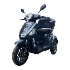 Triciclo eléctrico RACCEWAY® VIA LITE, gris