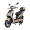 Electric scooter RACCEWAY® E-FICHTL®, light gold-matte with 20Ah battery
