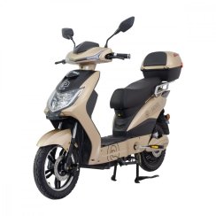 Electro scooter RACCEWAY® E-FICHTL®, light gold-matt with 12Ah battery