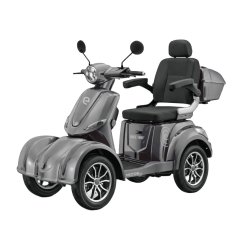 Vehículo eléctrico de cuatro ruedas RACCEWAY® STRADA LITE, gris