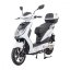 Electric scooter RACCEWAY® E-FICHTL®, white-gloss, without battery