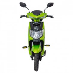 Electro scooter RACCEWAY® E-FICHTL®, light green-metallic with 20Ah battery