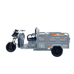 Teretni tricikl RACCEWAY® VARIO, srebrni