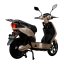 Electric scooter RACCEWAY® E-FICHTL®, light gold-matte, without battery