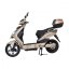 Electric scooter RACCEWAY® E-FICHTL®, light gold-matte, without battery