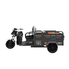 Teretni tricikl RACCEWAY® VARIO, sivi