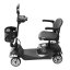 Electric four-wheeled cart RACCEWAY® SOLID, gray