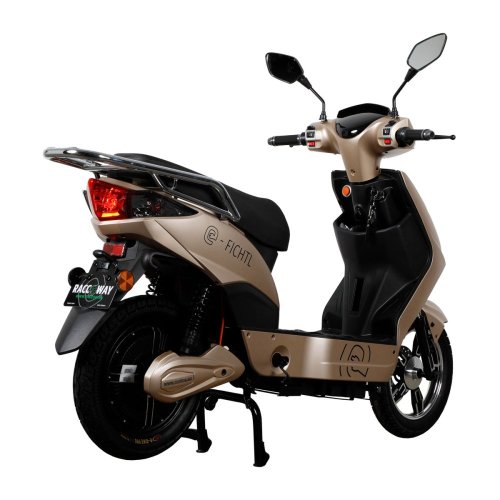 Electric scooter RACCEWAY® E-FICHTL®, light gold-matte, without battery