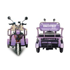 Electric two-seater wheelchair RACCEWAY® E-BUS, purple